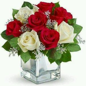 Meet your Posher, Rosario